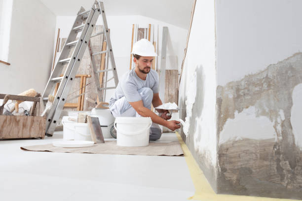 Best Drywall Sanding and Smoothing  in Jamestown, TN